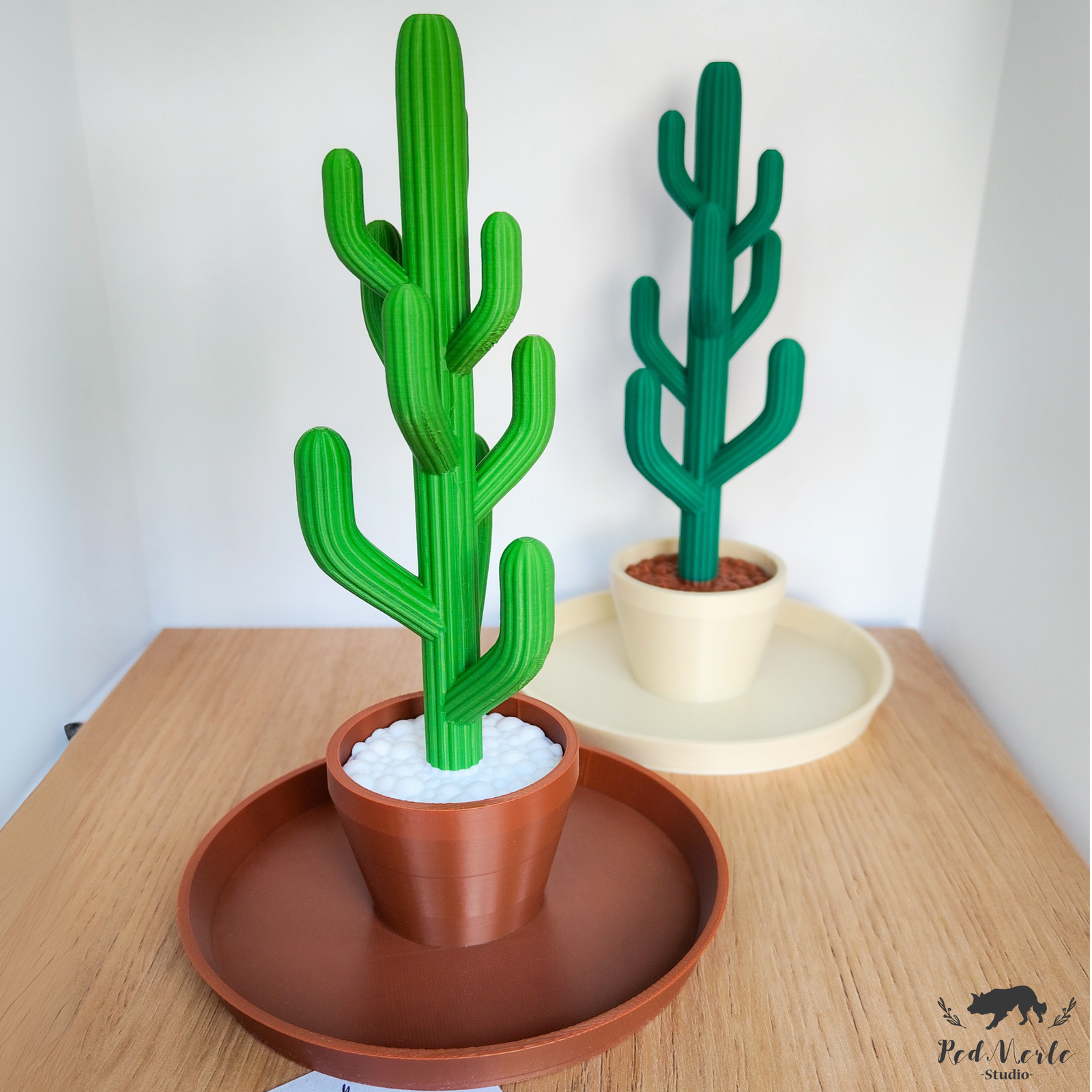Soporte para anillos de cactus